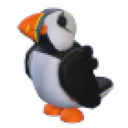 Puffin in Adopt Me