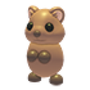 Quokka in Adopt Me