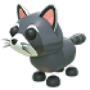Raccoon in Adopt Me