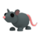 Rat in Adopt Me