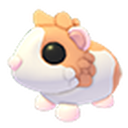 Red Dutch Guinea Pig in Adopt Me