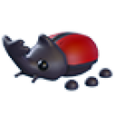 Rhino Beetle in Adopt Me
