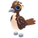 Roadrunner in Adopt Me