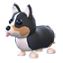 Royal Corgi in Adopt Me