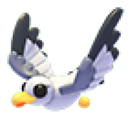 Seagull in Adopt Me