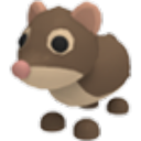 Shrew in Adopt Me