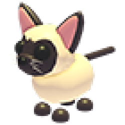 Siamese Cat — Adopt Me