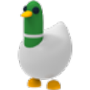 Silly Duck in Adopt Me