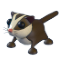 Sugar Glider — Adopt Me