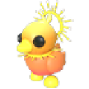 Sunrise Duckling in Adopt Me