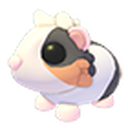 Tortoiseshell Guinea Pig — Adopt Me