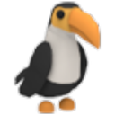 Toucan in Adopt Me