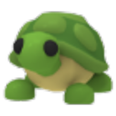 Turtle in Adopt Me