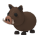 Wild Boar in Adopt Me
