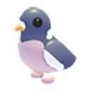 Wood Pigeon in Adopt Me